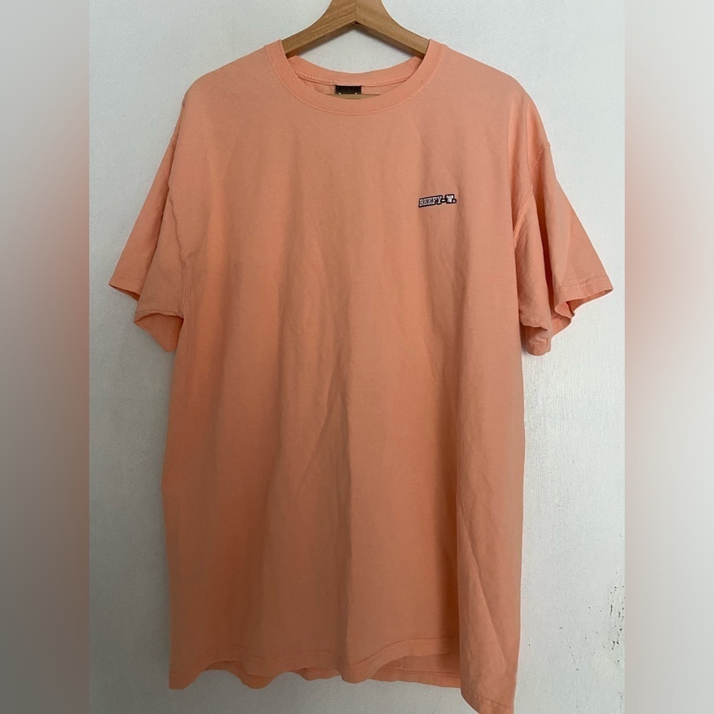 MENS LARGE HANES‎ BEEFY TEE